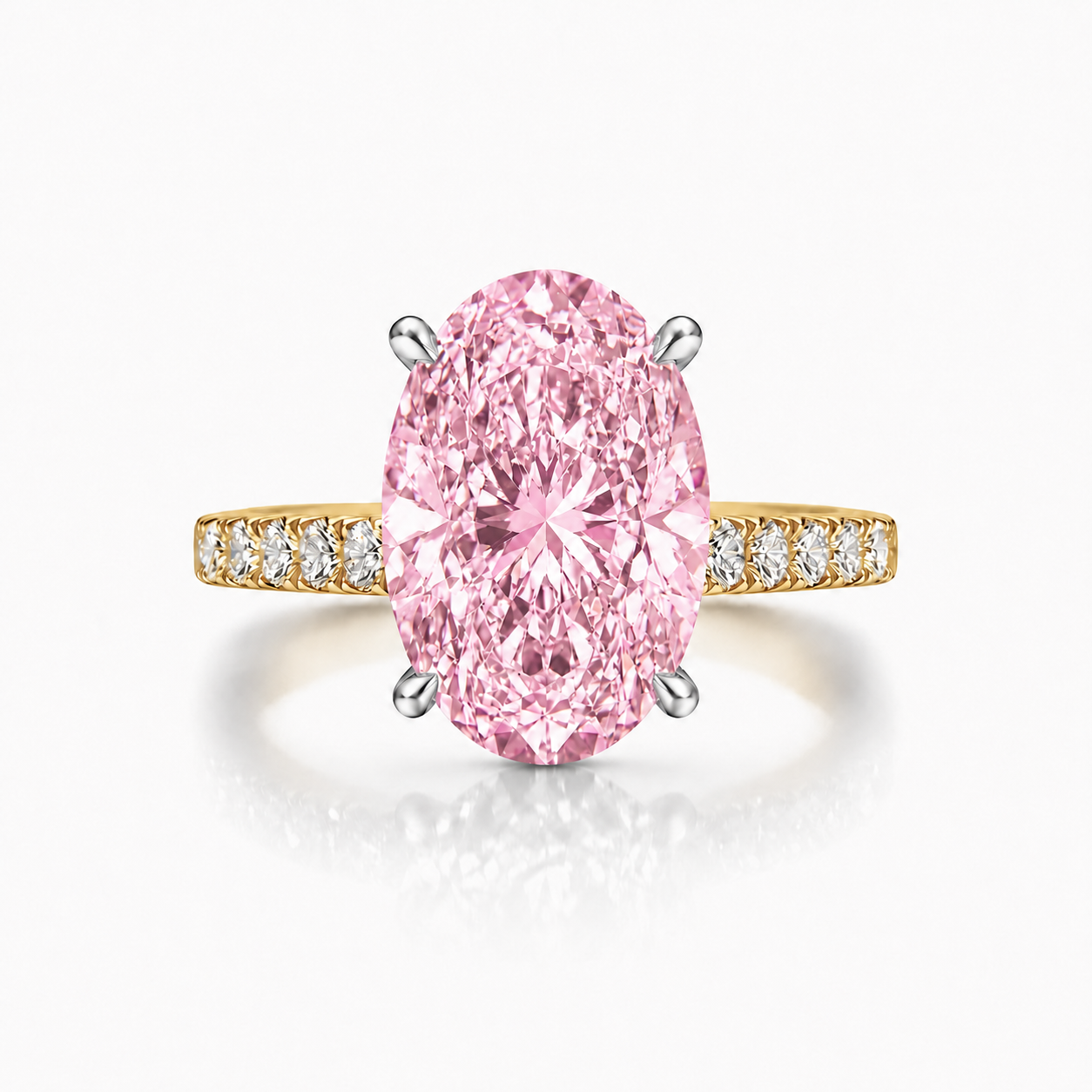 The Pink Rose