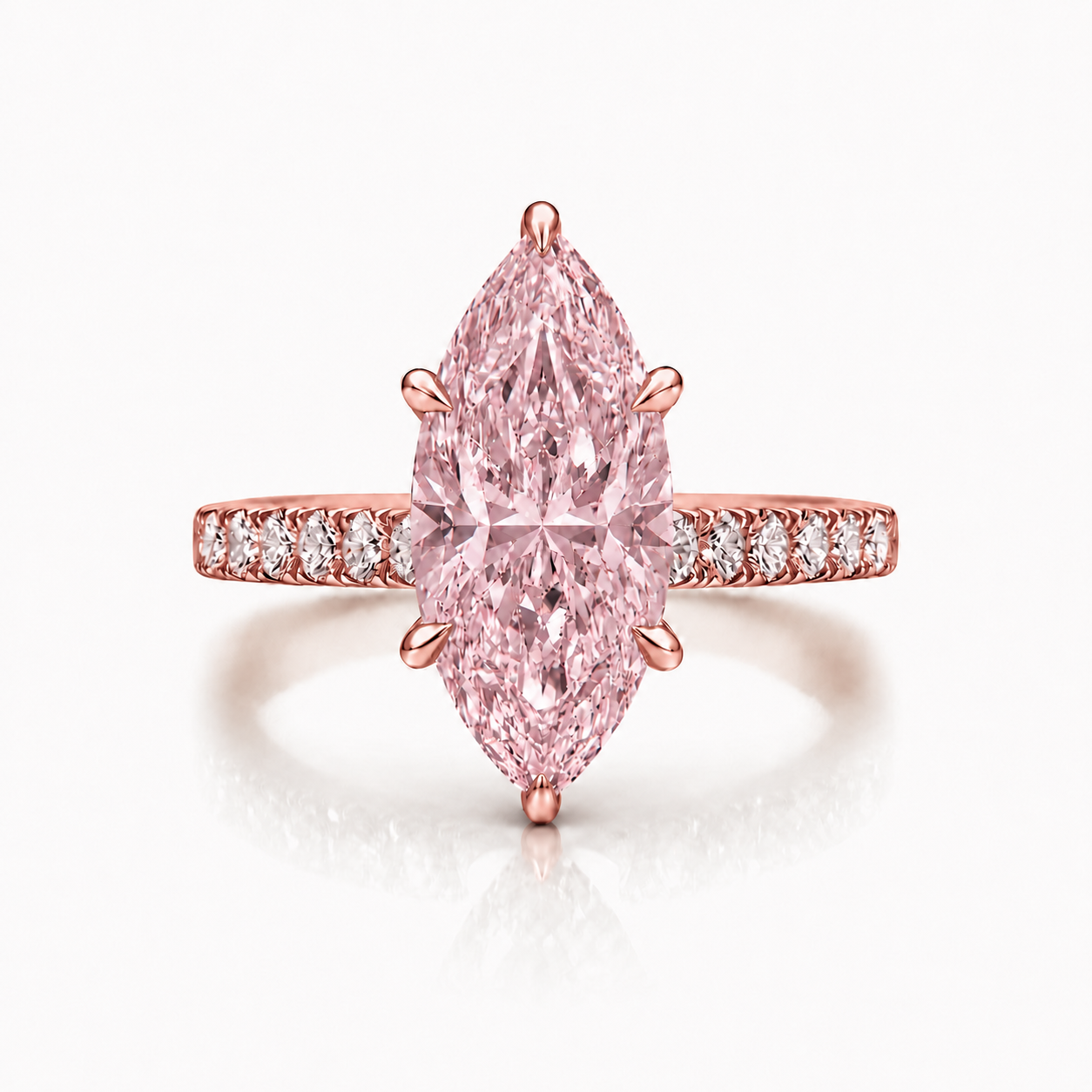 The Pink Rose