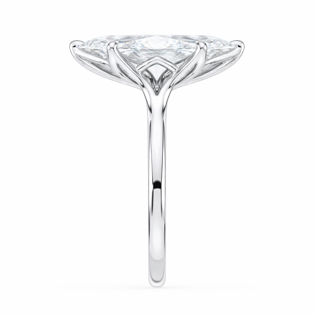 The Tulip