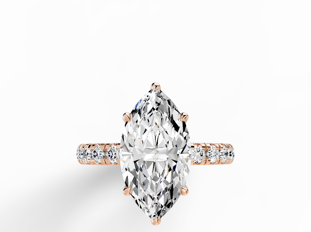 The Signature Series